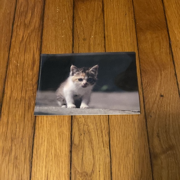 5 Small Plastic Card Folders - Picture 2 of 11